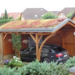 Carport mit Gründach